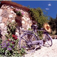 BIKE IN PROVENCE, Ambiente