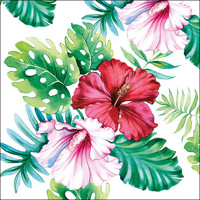 HIBISCUS FLORAL white, Ambiente
