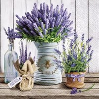 LAVENDER IN BUCKET, Paw