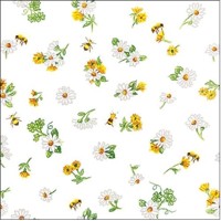DAISY ALL OVER, Ambiente