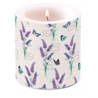 LAVENDER WITH LOVE, Ambiente