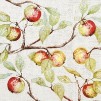 APPLE BRANCHES, Home Fashion