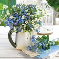 FORGET ME NOT, Ambiente