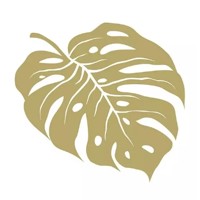 MONSTERA gold, Ambiente