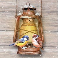 BIRDS ON LAMP, Ambiente