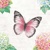 BUTTERFLY POEM, Ambiente