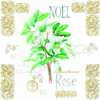  NOEL ROSE, Ambiente