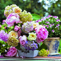 PEONY ARRANGEMENT, Ambiente