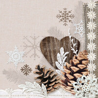  WINTER NATURE, Ambiente