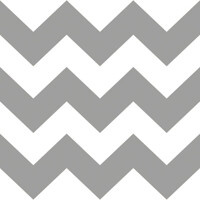 Zig Zag silver