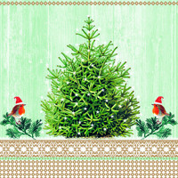LITTLE ROBINS, Ambiente