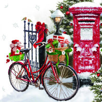 BIKE IN SNOW, Ambiente
