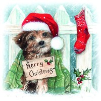 CHRISTMAS PUPPY, Ambiente