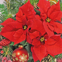 Servítky RED POINSETTIA , Ambiente