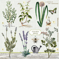 HERBS GARDEN, Ambiente