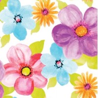 LUANA  40x40 Linclass,  Mank