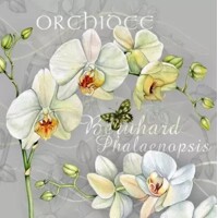  ORCHIDÉE,  NOUVEAU