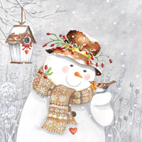  SNOWMAN HOLDING ROBIN, Ambiente