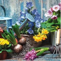 JARDINAGE EN PRINTEMPS, Ti-Flair 