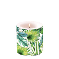 candles small TROPICAL LEAVES, Ambiente