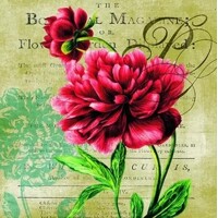 servítky Red Roses, Nouveau