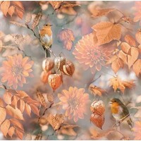  ORANGE AUTUMN, Ambiente