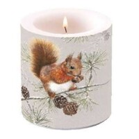 SQUIRREL IN WINTER, Ambiente
