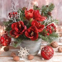 AMARYLLIS BOUQUET, Ambiente