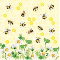 BEES JOY, Ambiente