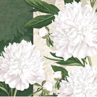 DEWED WHITE PEONIES, Maki