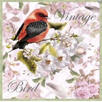  VINTAGE BIRD, NOUVEAU