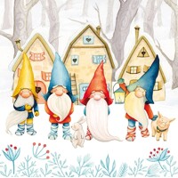  GNOMES, Ambiente