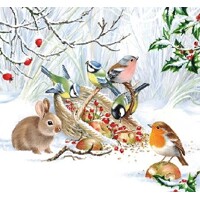  WINTER TREAT, Ambiente