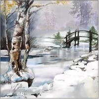  IT´S WINTERTIME, Ambiente