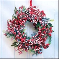 FROZEN WREATH, Ambiente