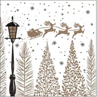 SLEIGH ABOVE TREES, Ambiente