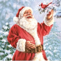 HAPPY SANTA CLAUS WITH BIRD, Maki