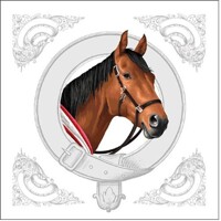 CLASSIC HORSE, Ambiente