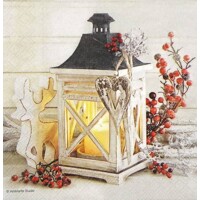  LANTERN, Ambiente