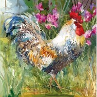  AQUARELL ROOSTER, Ambiente
