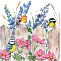 BIRDS ON FENCE, Ambiente