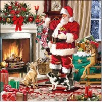 SANTA INTERIOR, Ambiente