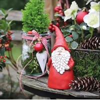 SANTA IN GARDEN, Ambiente