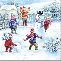 SNOWFUN, Ambiente