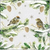 SPARROWS IN SNOW, Ambiente