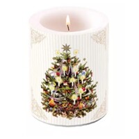 X-MAS TREE cream, Ambiente