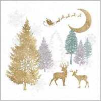 WINTER FOREST, Ambiente