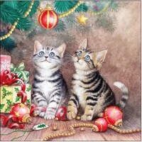 MAGIC OF CHRISTMAS, Ambiente
