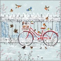 SNOWY BICYCLE, Ambiente