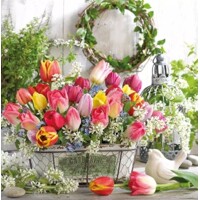  SPRING BOUQUET, Ambiente